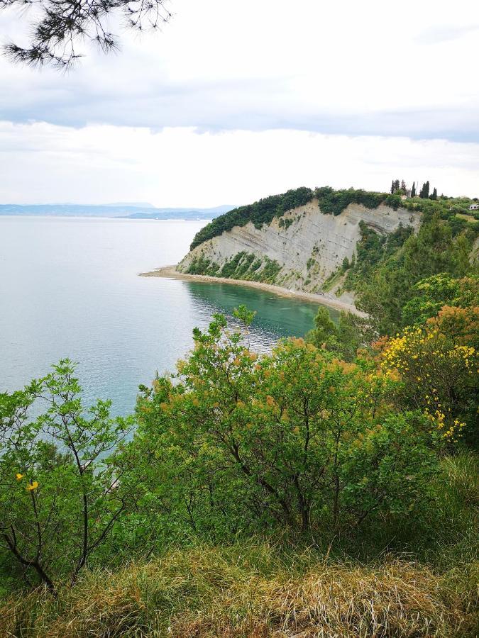 Apartments Zimerman Порторож Екстер'єр фото